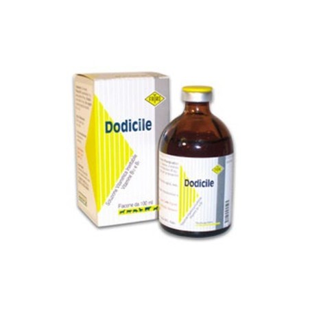 Dodicile soluzione iniettabile veterinaria 1 mg/ml + 100 mg/ml 1 flacone da 100 ml