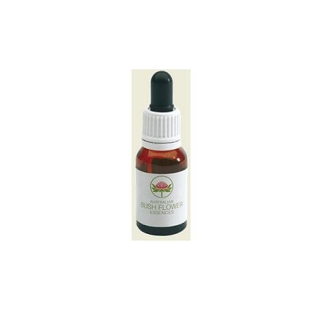 Australian Bush Flower Essences Alpine Mint Bush essenza per caregiver 15 ml