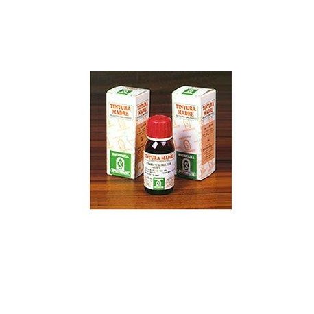 Specchiasol Damiana 29 tintura madre rimedio fitoterapico stimolante 50 ml