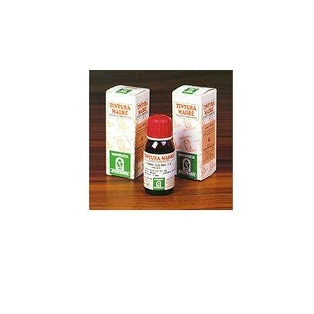 Specchiasol Damiana 29 tintura madre rimedio fitoterapico stimolante 50 ml