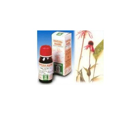 Specchiasol Echinacea 59 tintura madre rimedio fitoterapico per difese 50 ml